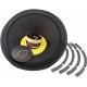 SPL Dynamics, Recone.
